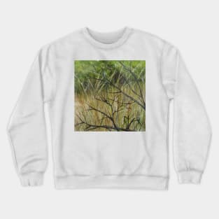 Old Ruined Cottage in Coleraine - Grass Section Crewneck Sweatshirt